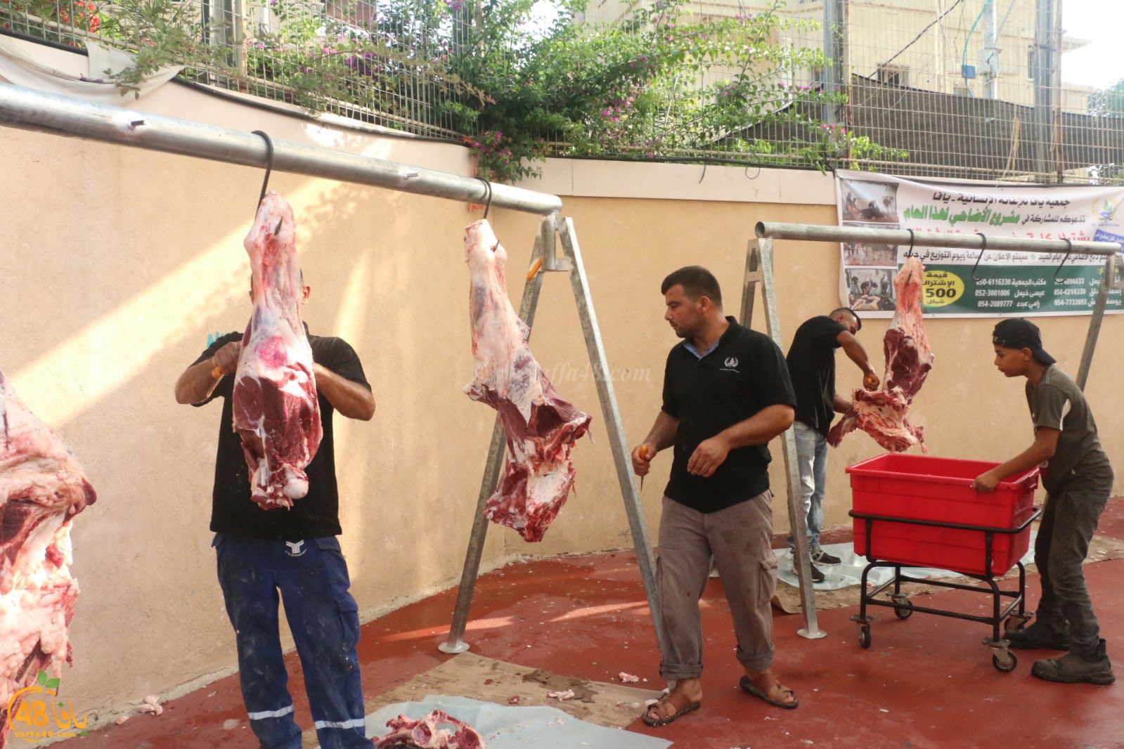 lo7om jam3iya u3 (23).jpg